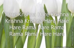 Hare Krishna Maha Mantra 156