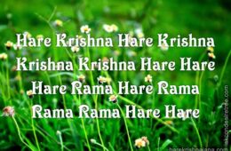 Hare Krishna Maha Mantra 164