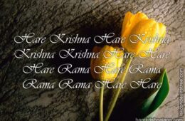 Hare Krishna Maha Mantra 166