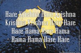 Hare Krishna Maha Mantra 167