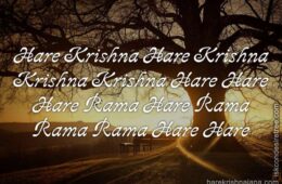 Hare Krishna Maha Mantra 184