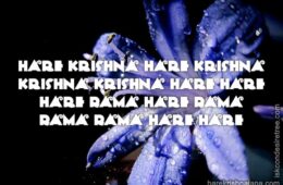 Hare Krishna Maha Mantra 190