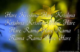 Hare Krishna Maha Mantra 197