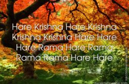 Hare Krishna Maha Mantra 200