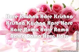 Hare Krishna Maha Mantra 201