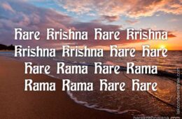 Hare Krishna Maha Mantra 202