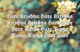 Hare Krishna Maha Mantra 203