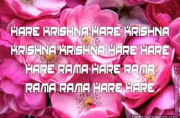 Hare Krishna Maha Mantra 205