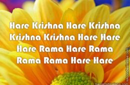 Hare Krishna Maha Mantra 206