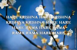 Hare Krishna Maha Mantra 207