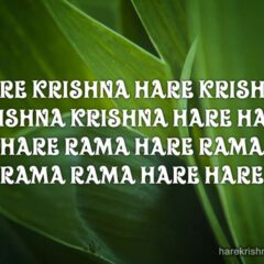 Hare Krishna Maha Mantra 208