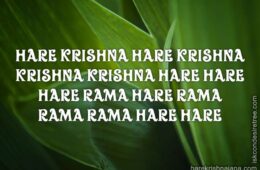 Hare Krishna Maha Mantra 208