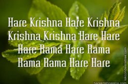 Hare Krishna Maha Mantra 219