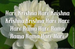 Hare Krishna Maha Mantra 227