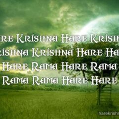 Hare Krishna Maha Mantra 229