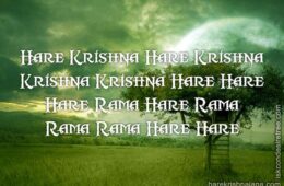 Hare Krishna Maha Mantra 229