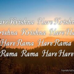 Hare Krishna Maha Mantra 250