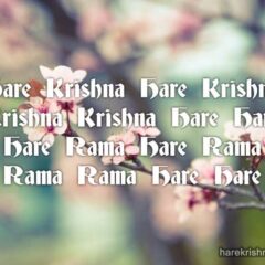 Hare Krishna Maha Mantra 251