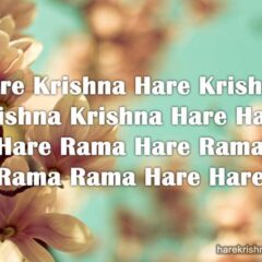 Hare Krishna Maha Mantra 312