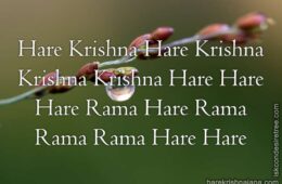 Hare Krishna Maha Mantra 322