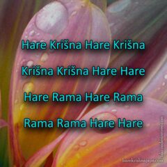 Hare Krishna Maha Mantra in Slovenian 005