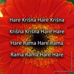 Hare Krishna Maha Mantra in Slovenian 006